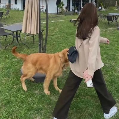 门当父不对2:亲家路窄